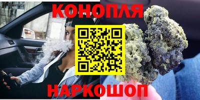 крисы Малгобек