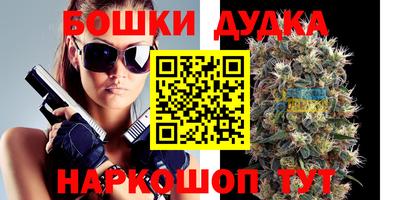 крисы Малгобек