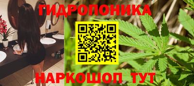 крисы Малгобек
