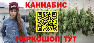 крисы Малгобек