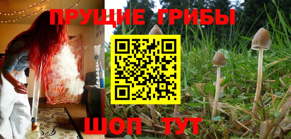 Галлюциногенные грибы мухоморы Вязники