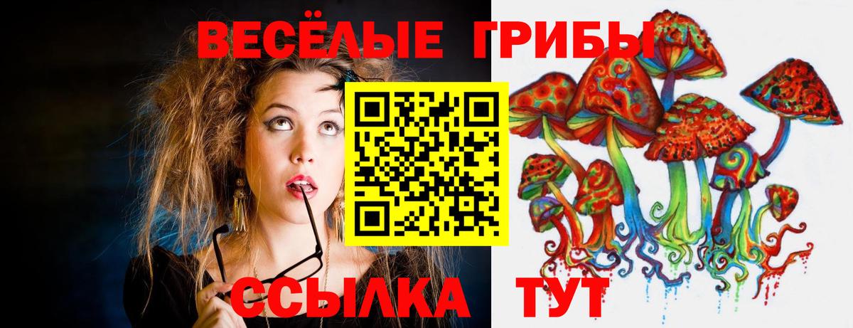 Вязники  Псилоцибиновые грибы Cubensis  Вход с VPN 